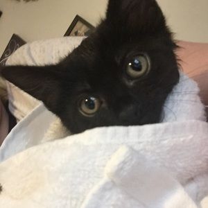 Meet your Posher, Natalie